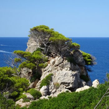 Grüne Natur – erste kleine Wanderung