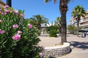 Impressionen aus Cala Ratjada